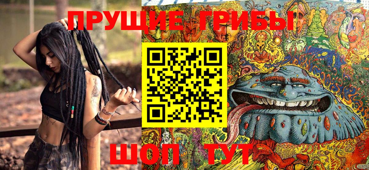 Псилоцибиновые грибы прущие грибы Альметьевск